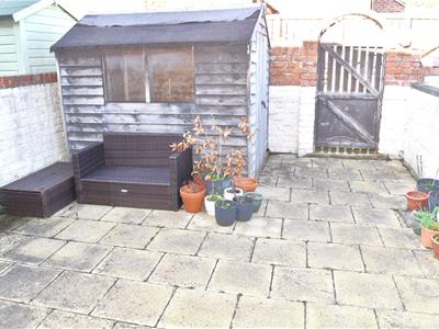 Picture 5
